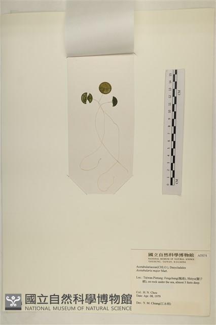 登錄號:A00005074藏品圖，第3張