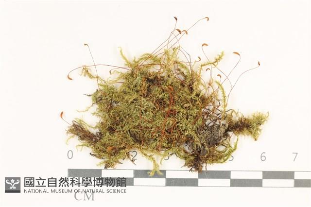 登錄號:B00015174藏品圖，第1張