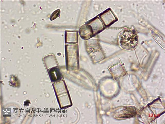 登錄號:A00004574藏品圖，第4張