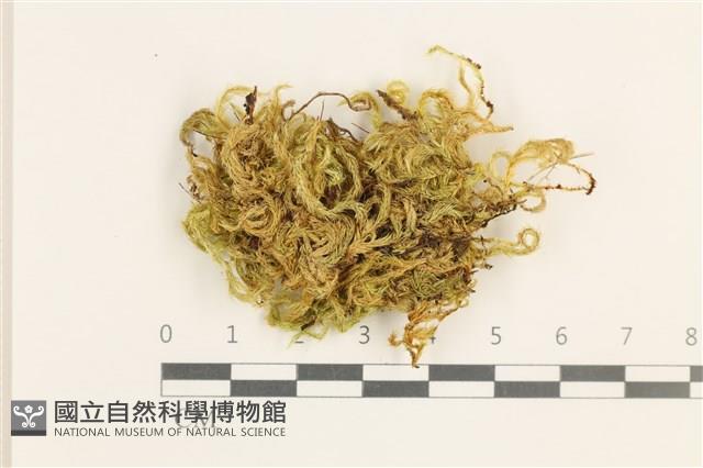 登錄號:B00015574藏品圖，第1張