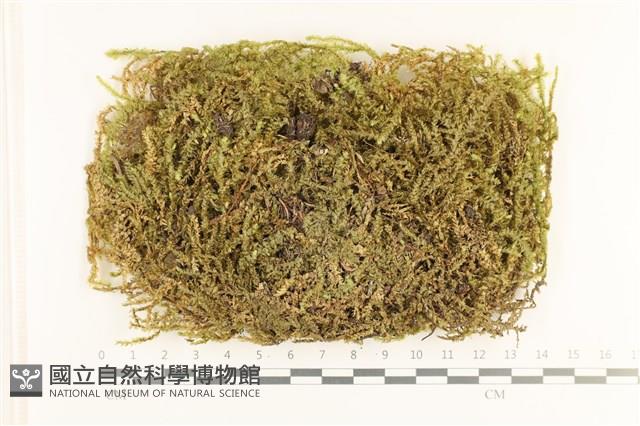 登錄號:B00010574藏品圖，第1張