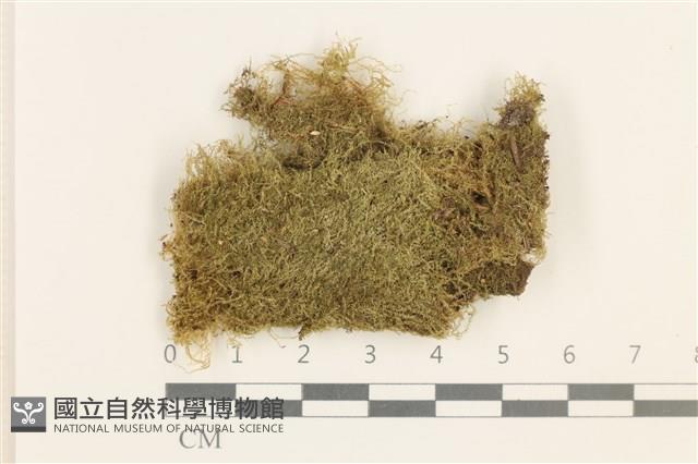 登錄號:B00000574藏品圖，第1張