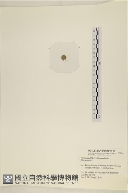 登錄號:A00002474藏品圖，第3張