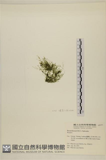 登錄號:A00001474藏品圖，第3張