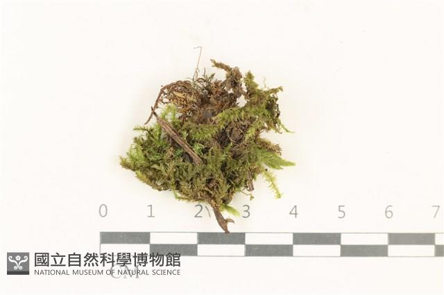 登錄號:B00013474藏品圖，第1張