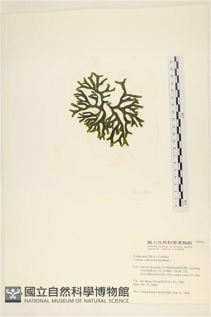 登錄號:A00005974藏品圖，第1張
