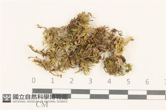 登錄號:B00012774藏品圖，第1張