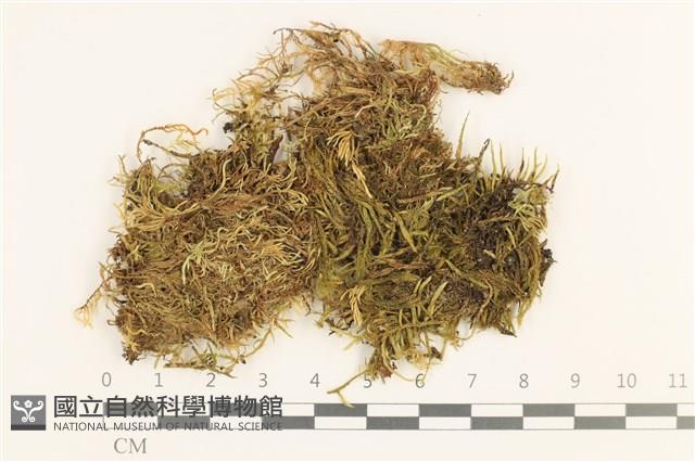 登錄號:B00010774藏品圖，第1張