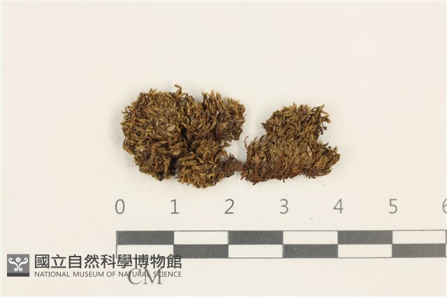 登錄號:B00009614藏品圖，第1張