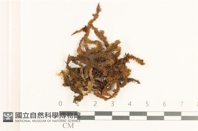 登錄號:B00014614藏品圖，第1張