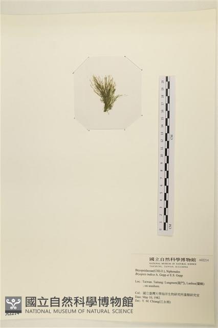 登錄號:A00002214藏品圖，第3張