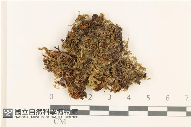 登錄號:B00009214藏品圖，第1張