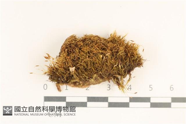 登錄號:B00017214藏品圖，第1張