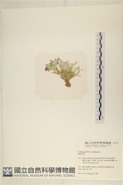 登錄號:A00005014藏品圖，第3張