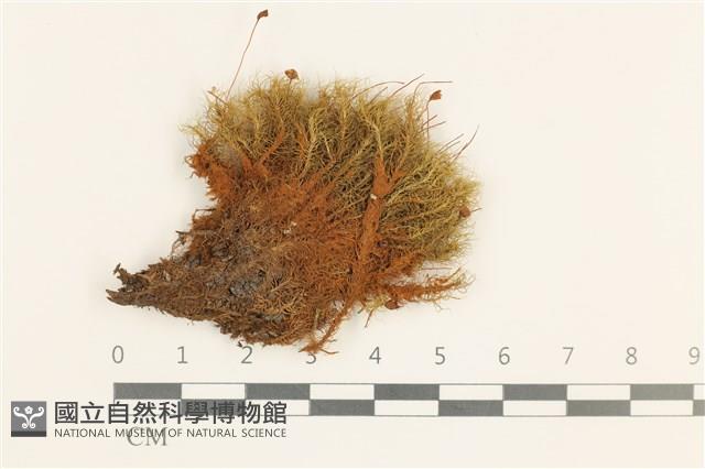 登錄號:B00015114藏品圖，第1張