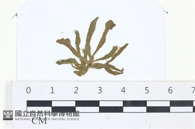 登錄號:A00002514藏品圖，第1張