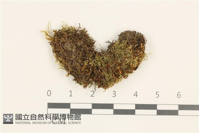 登錄號:B00015514藏品圖，第1張