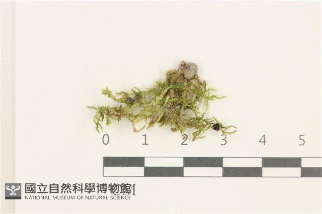 登錄號:B00012414藏品圖，第1張