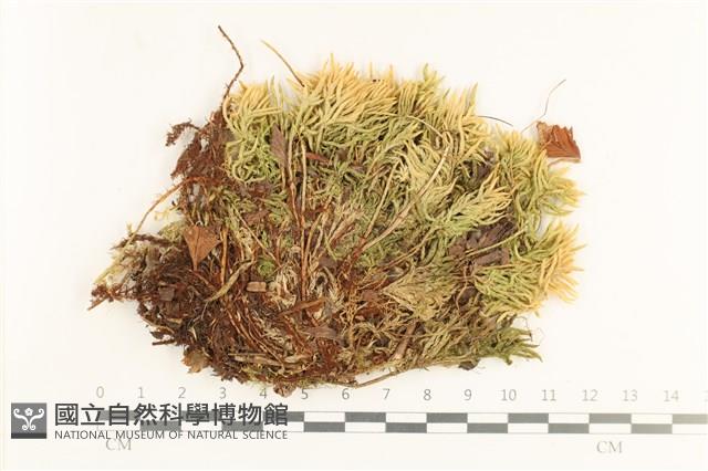 登錄號:B00017414藏品圖，第1張