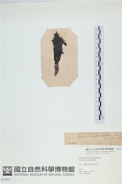 登錄號:A00003914藏品圖，第3張