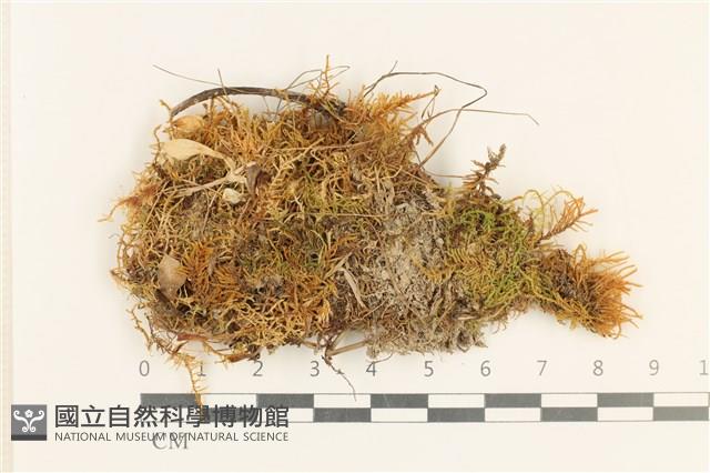 登錄號:B00017314藏品圖，第1張