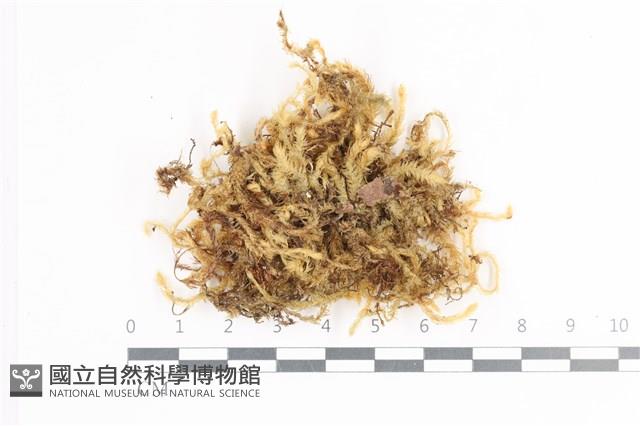 登錄號:B00004714藏品圖，第1張