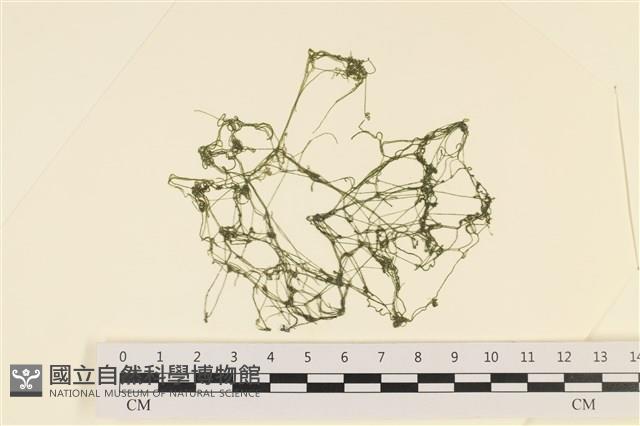 登錄號:A00005714藏品圖，第1張