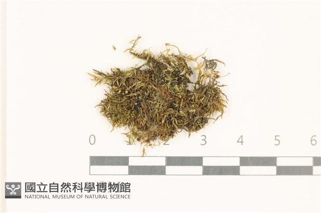 登錄號:B00021714藏品圖，第1張