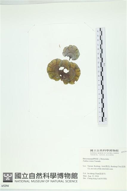 登錄號:A00005294藏品圖，第1張