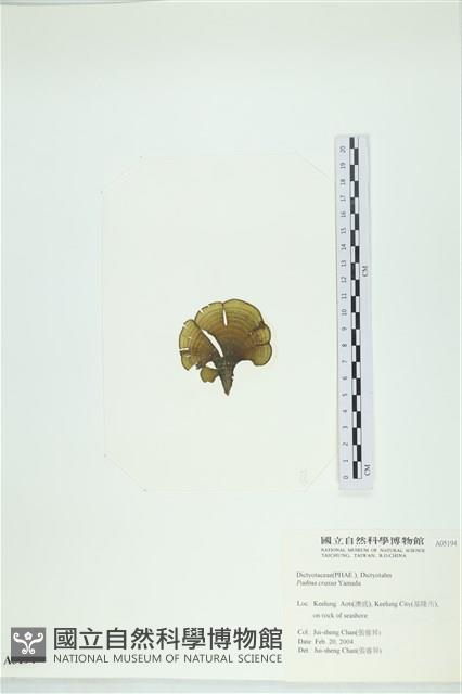 登錄號:A00005194藏品圖，第3張