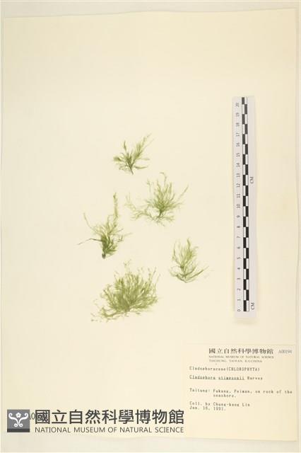 登錄號:A00000194藏品圖，第1張