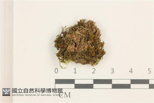 登錄號:B00012594藏品圖，第1張