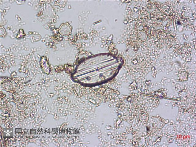 登錄號:A00004594藏品圖，第3張