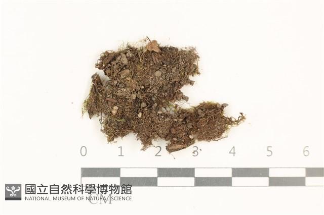 登錄號:B00015594藏品圖，第1張