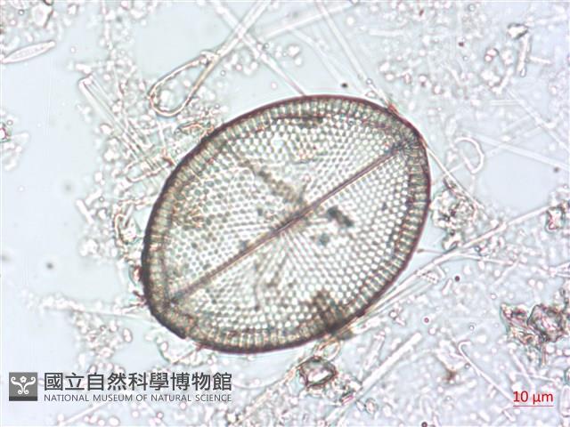 登錄號:A00004494藏品圖，第3張