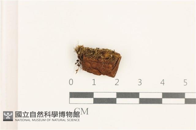 館號:B00019394藏品圖，第1張