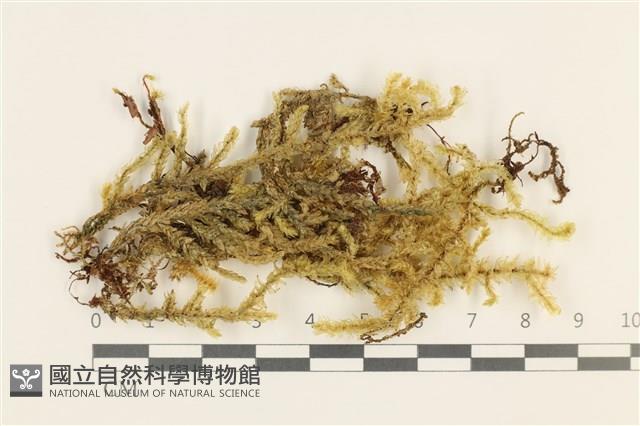 登錄號:B00009394藏品圖，第1張