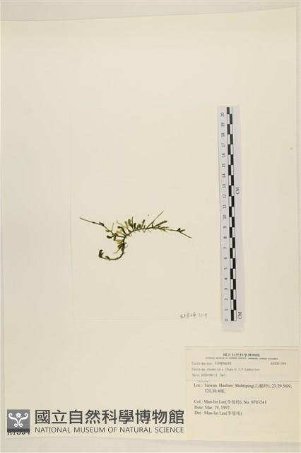 登錄號:A00001394藏品圖，第3張