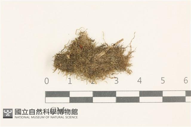 登錄號:B00019794藏品圖，第1張