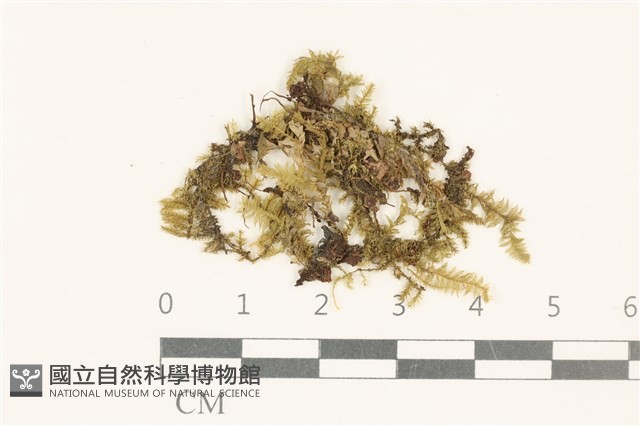 登錄號:B00008644藏品圖，第1張