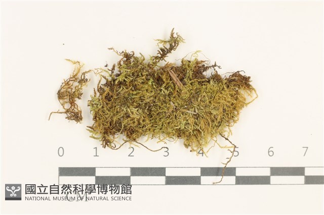 登錄號:B00014644藏品圖，第1張