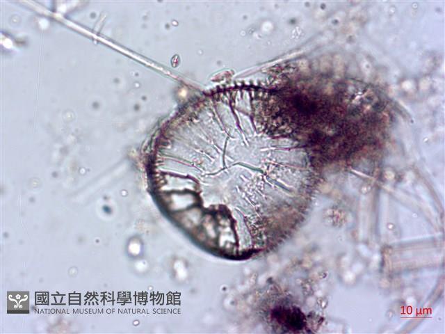 登錄號:A00004644藏品圖，第4張