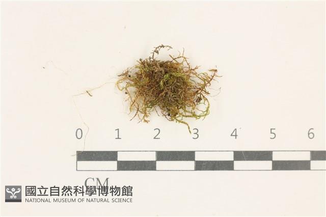 登錄號:B00017644藏品圖，第1張
