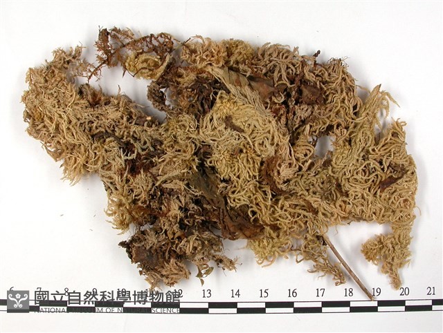 登錄號:B00003644藏品圖，第1張