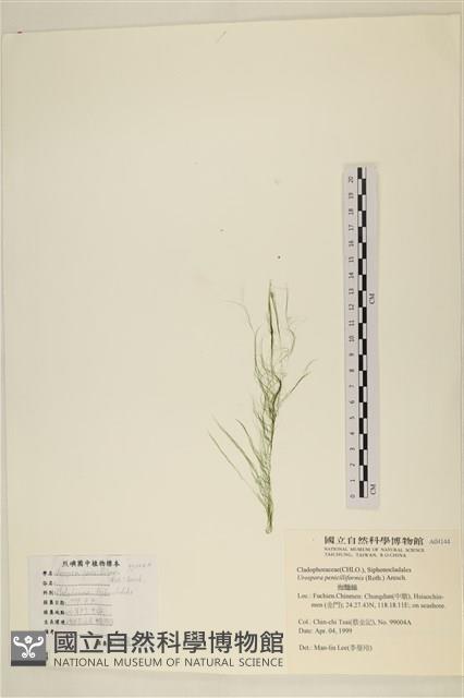 登錄號:A00004144藏品圖，第1張