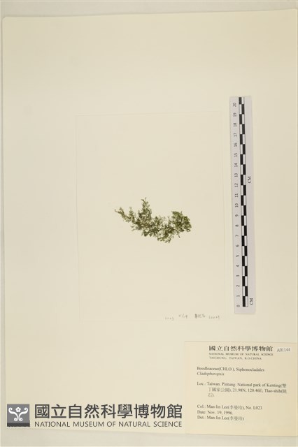 登錄號:A00001144藏品圖，第3張