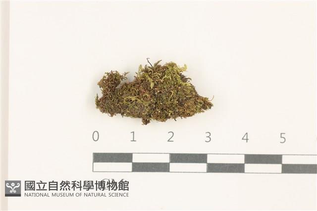 登錄號:B00014444藏品圖，第1張