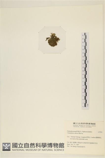 登錄號:A00007944藏品圖，第3張