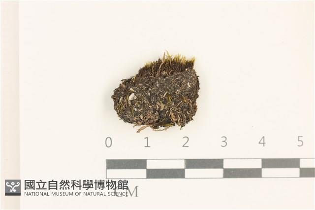 登錄號:B00016344藏品圖，第1張