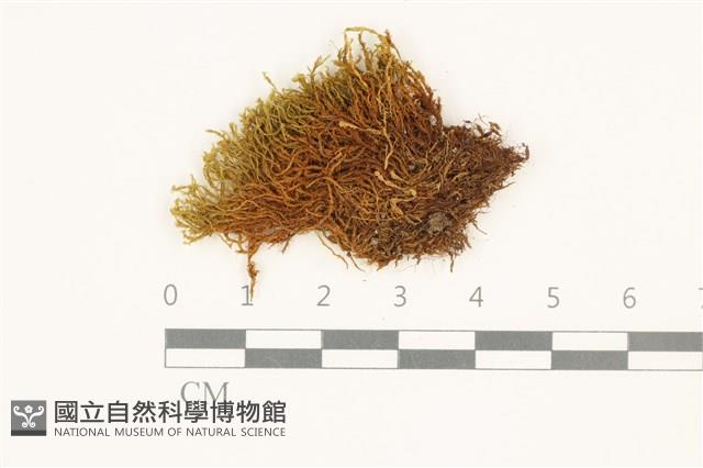 登錄號:B00016664藏品圖，第1張